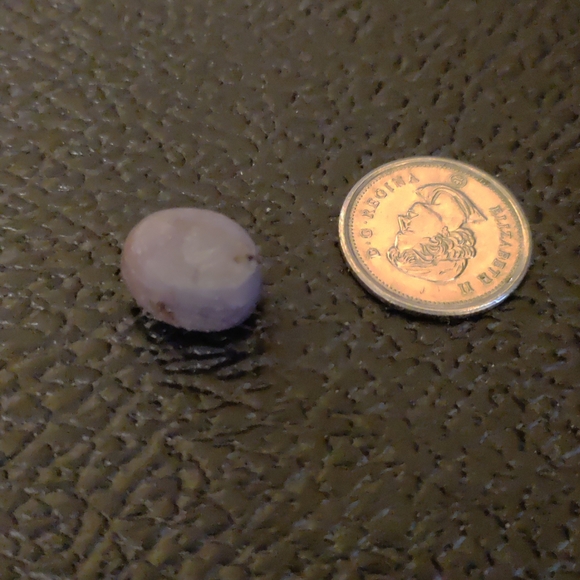 Natural Star Corundum Ruby Cabochon #10 - Picture 3 of 3